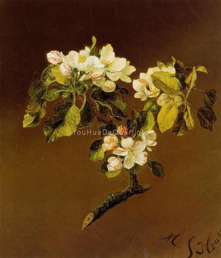 A Spray of Apple Blossoms - 马丁·约翰逊·赫德